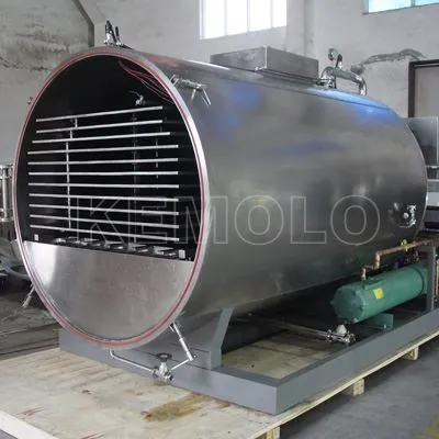 Pharmaceutical Freeze Dryer